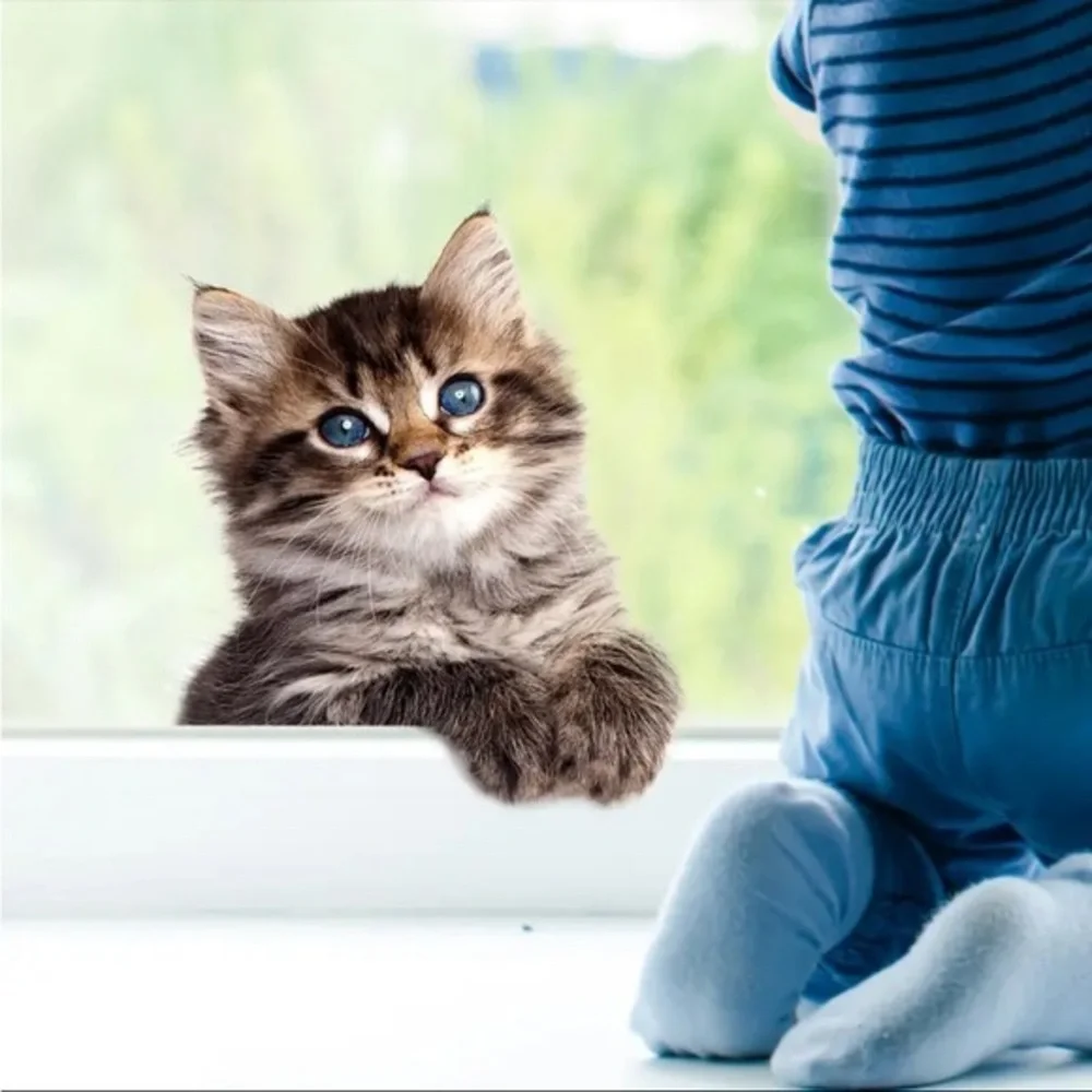 Cute Kitten Window Decal • Peekaboo Cat Wall Sticker • Home Decor NWT